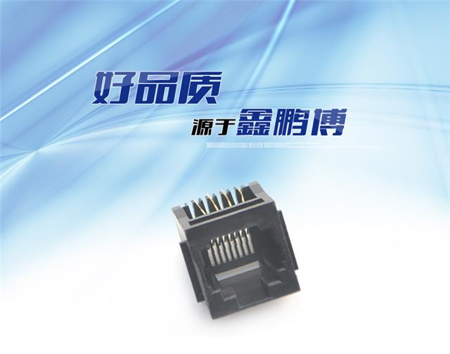 RJ45-8P8C 全塑 黑色 带耳 直插连接器