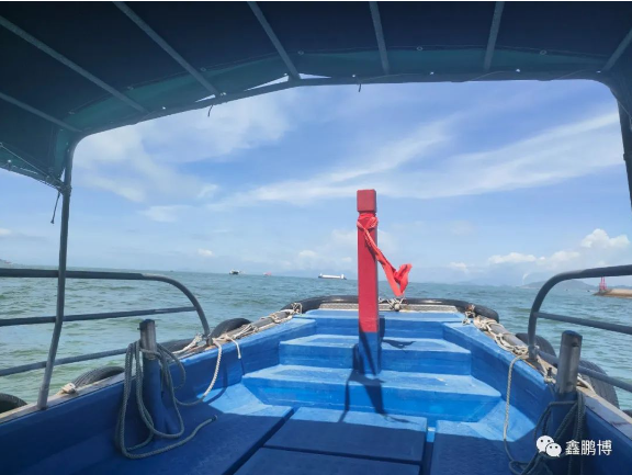 出海活动 出海活动