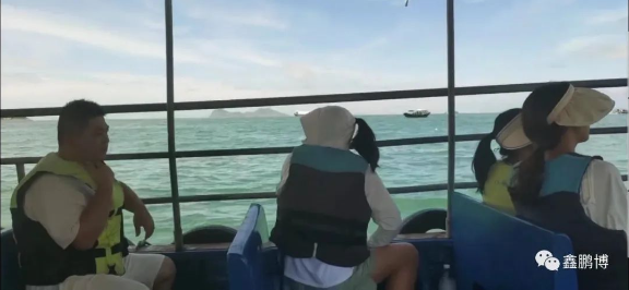 出海活动 出海活动